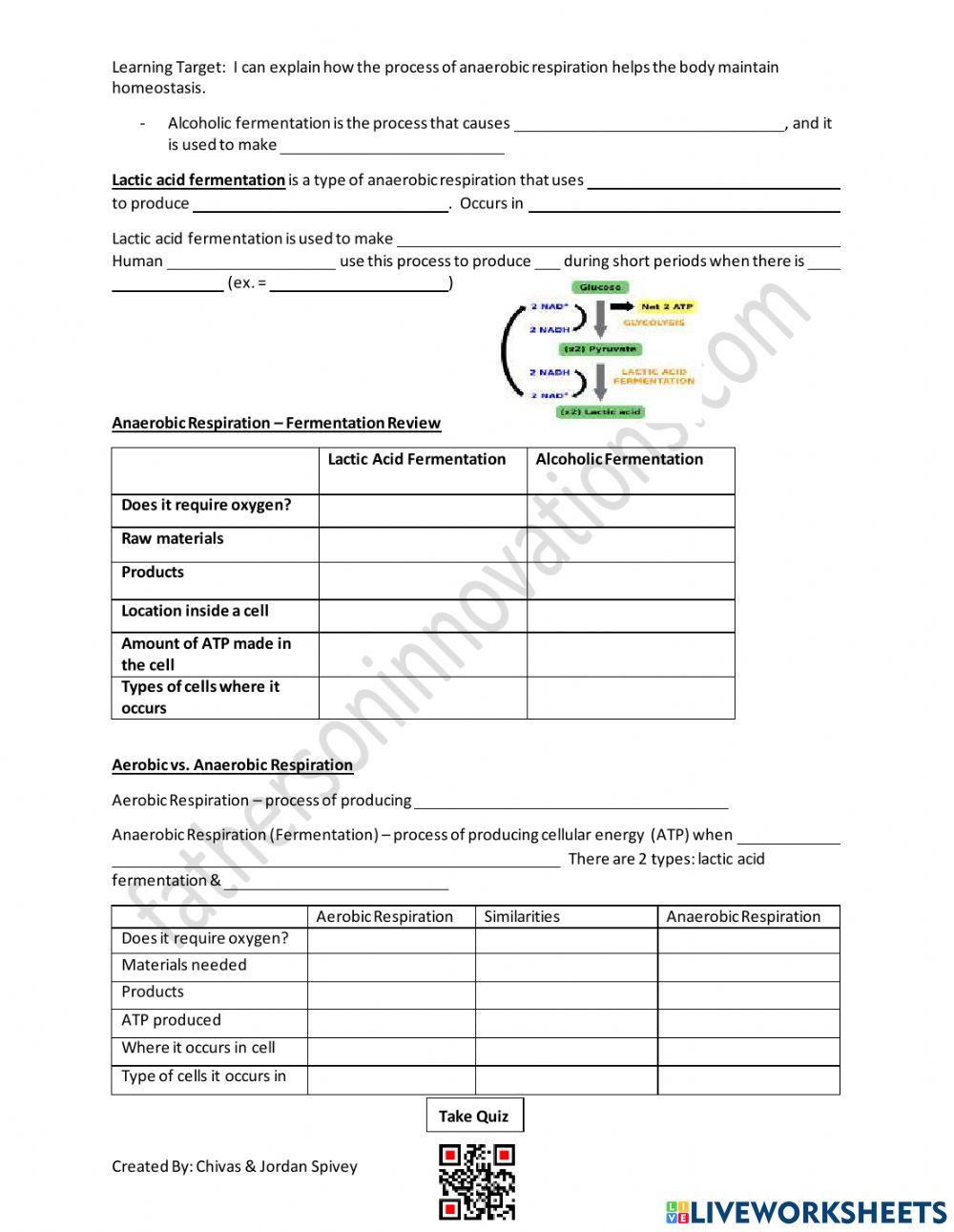 Anaerobic Respiration Fermentation Video Notes