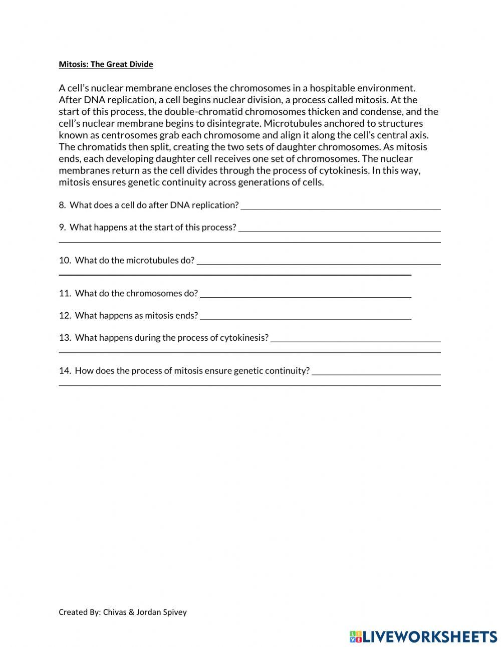 What Maintains Genetic Continuity Reading Interactive
