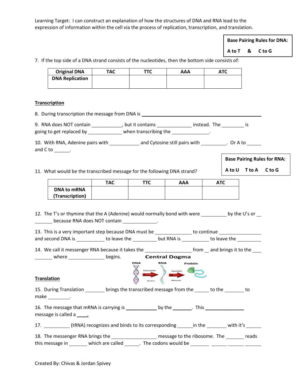 Protein Synthesis Video notes with video & quiz