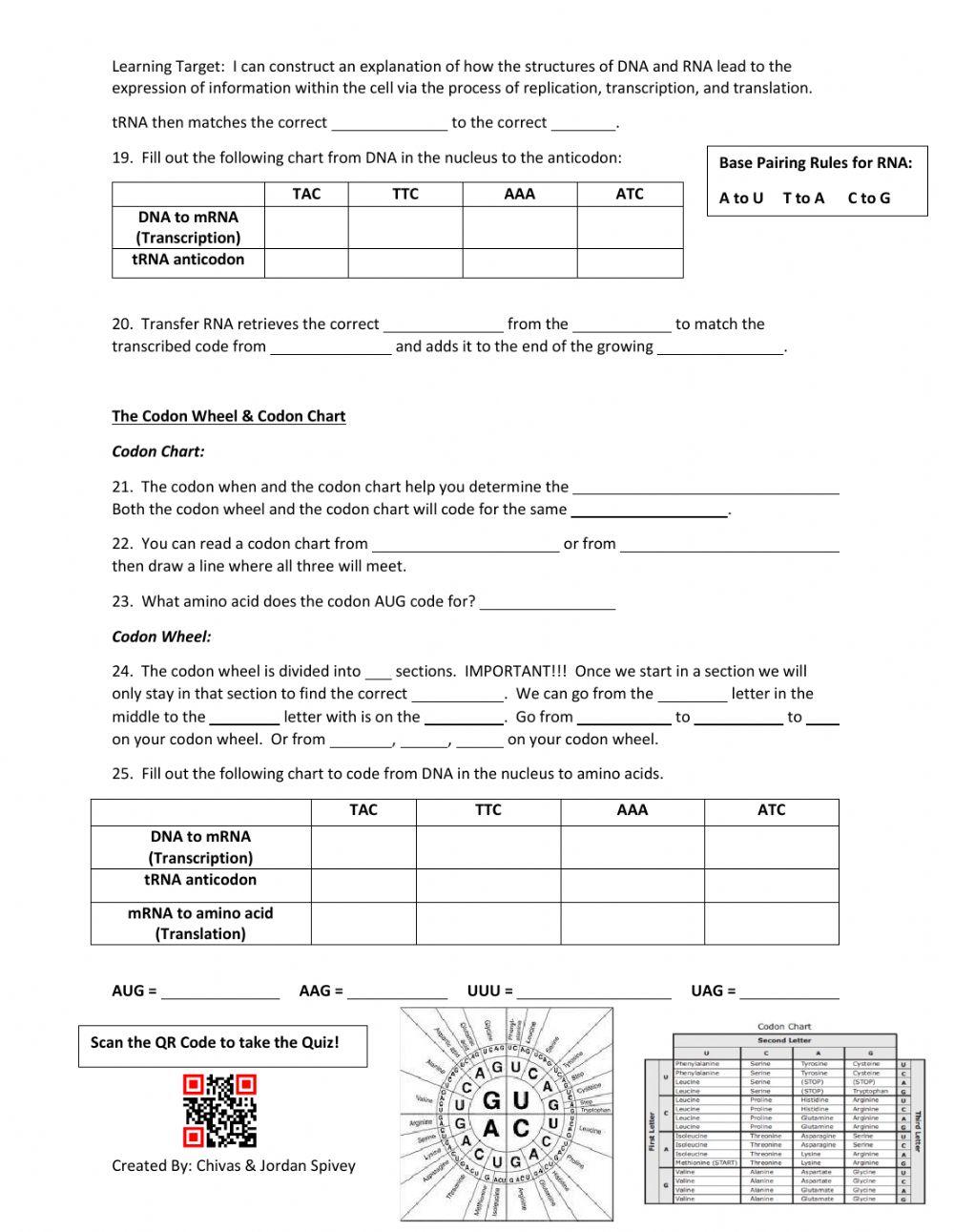 Protein Synthesis Video notes with video & quiz