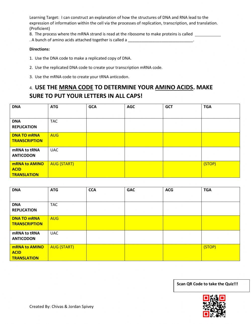 Protein Synthesis Interactive Review