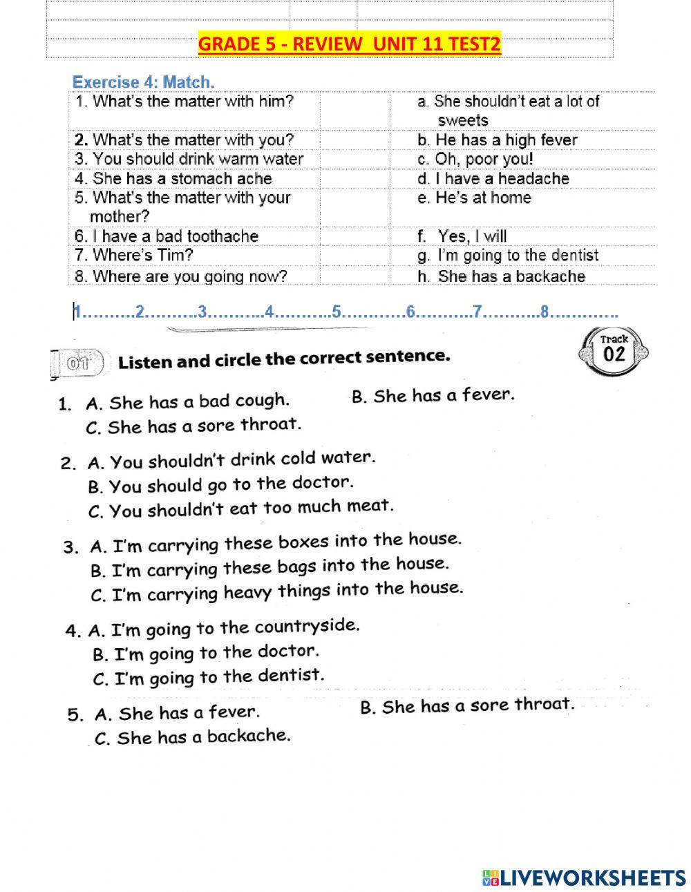 G5-review unit 11 listening test1