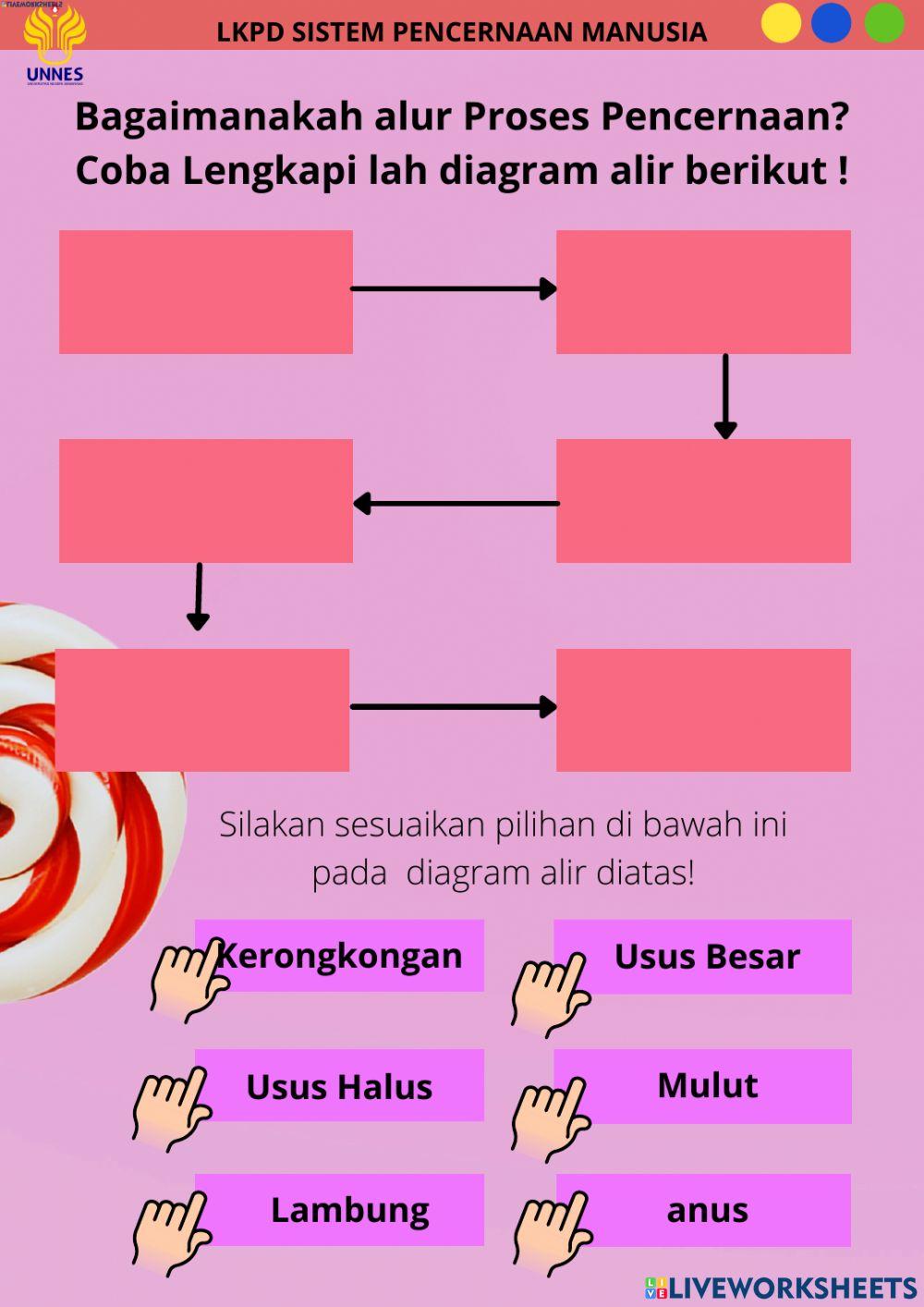 Sistem Pencernaan Manusia