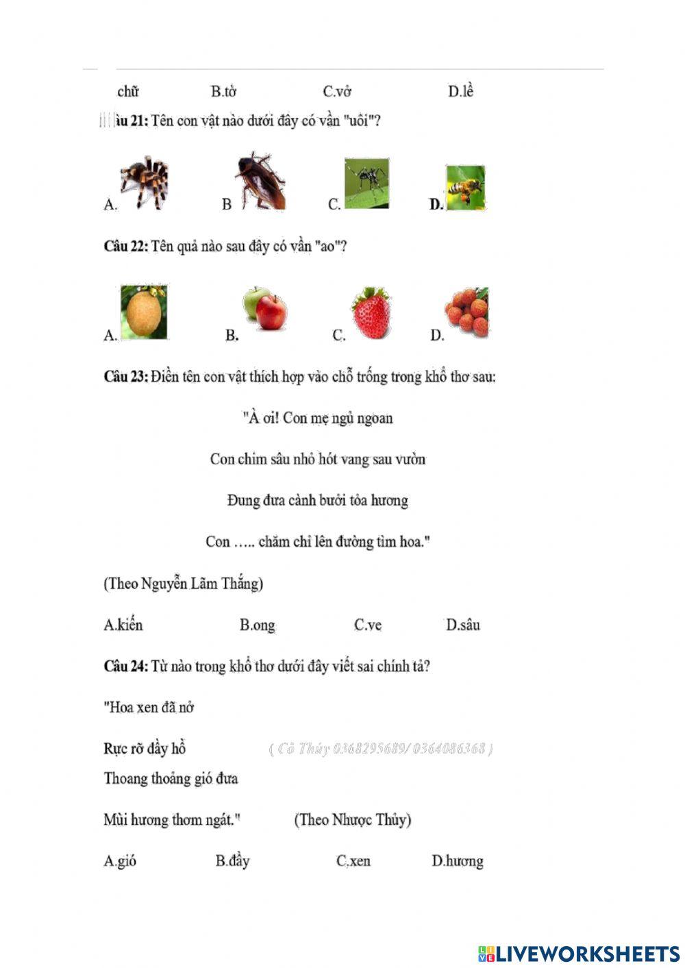 Oon TNTV cap tinh de 4