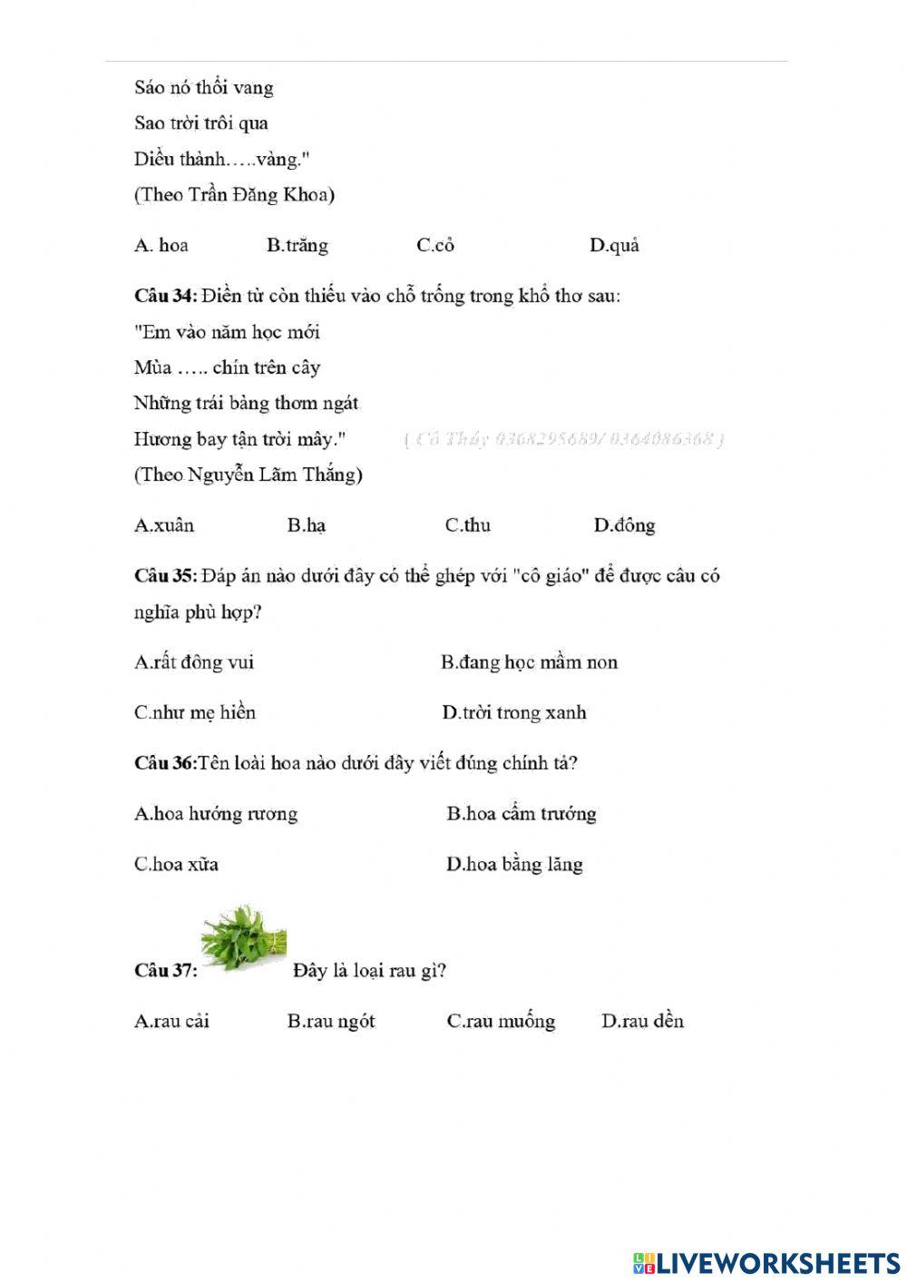 Oon TNTV cap tinh de 4