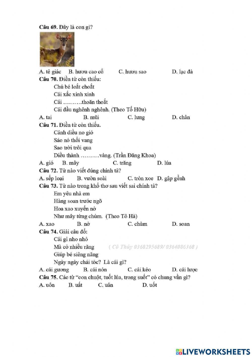 Oon TNTV cap tinh de 4