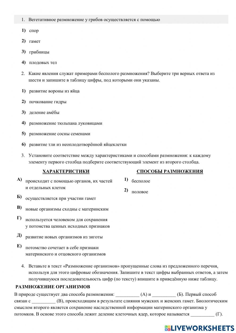 Проверочная работа