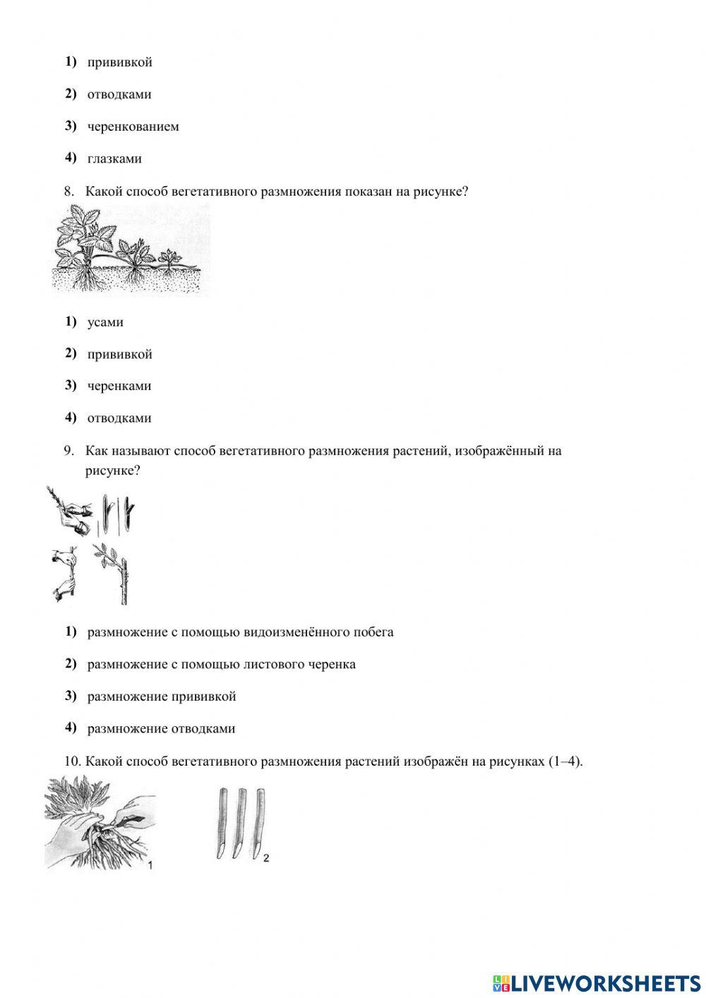 Проверочная работа
