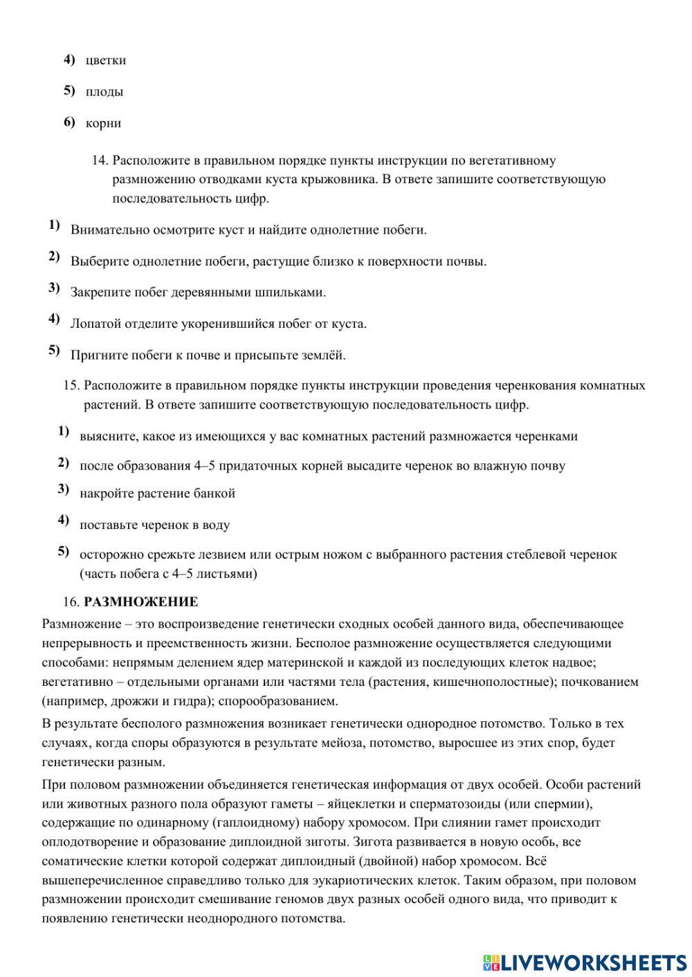 Проверочная работа