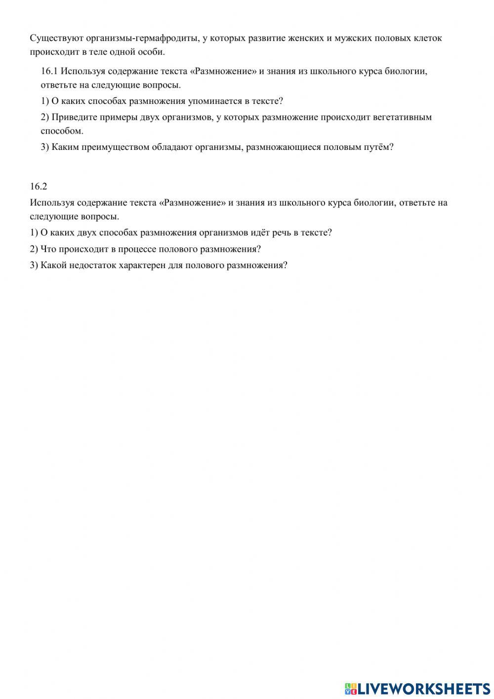 Проверочная работа