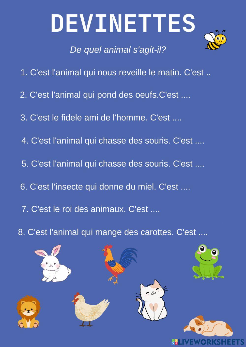 Animaux domestiques