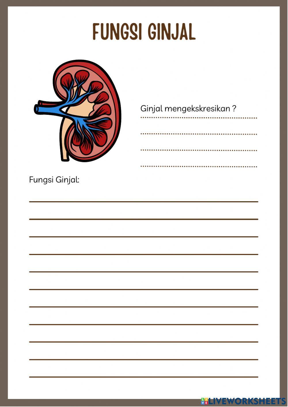 Struktur dan fungsi organ ekskresi