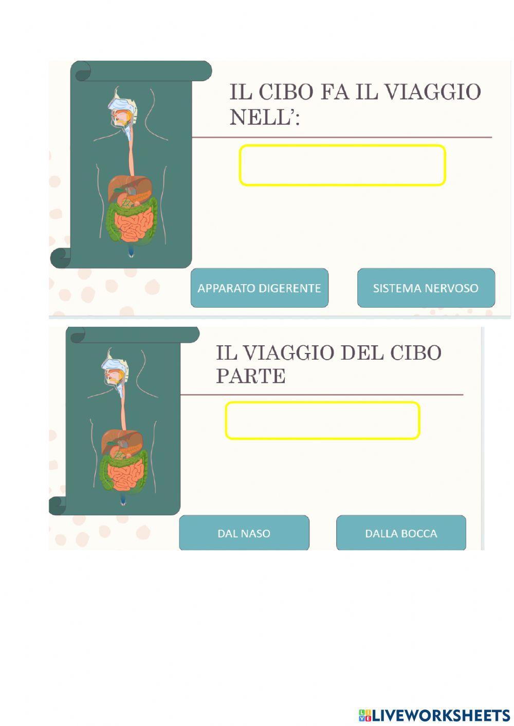 Inserisci le parole esatte