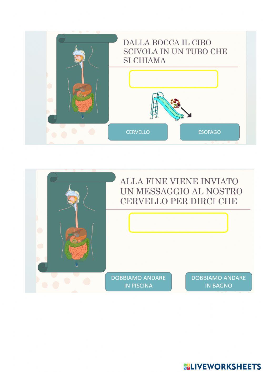 Inserisci le parole esatte