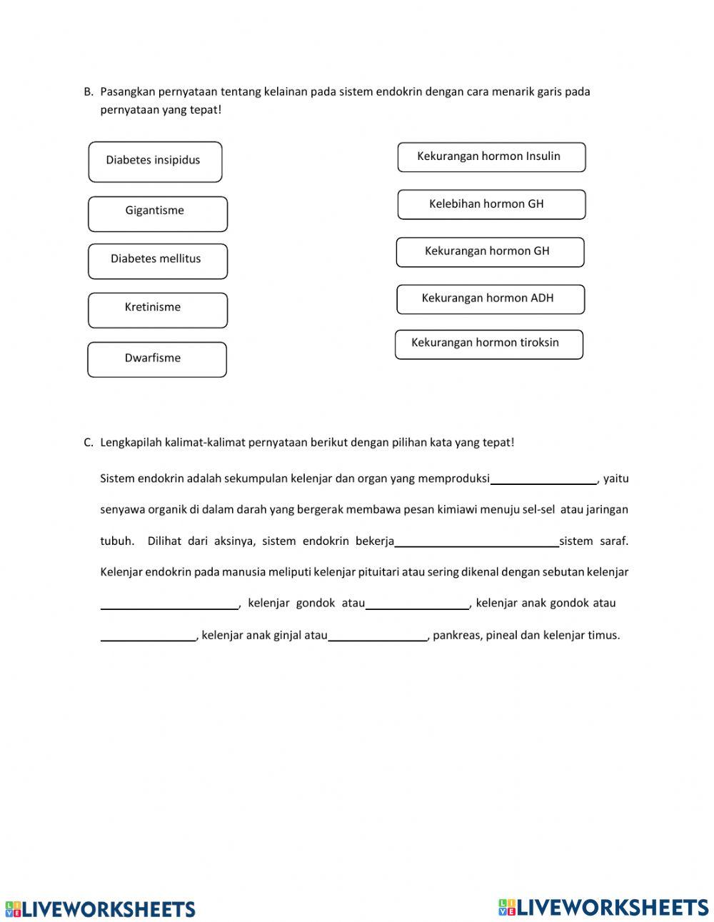 LKPD Sistem Regulasi