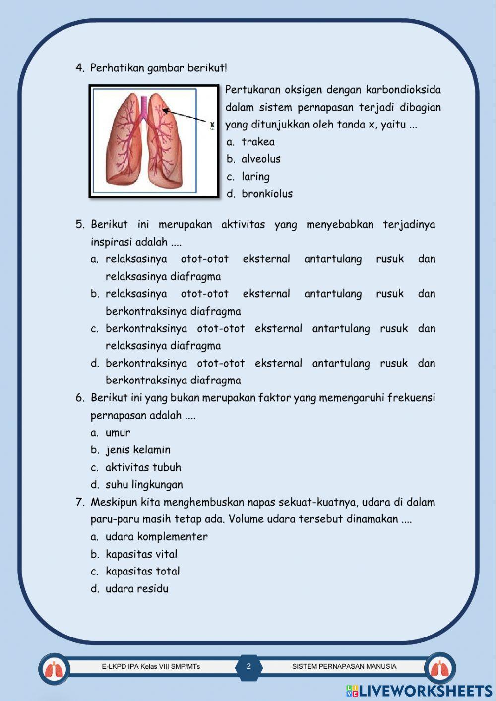 Soal Evaluasi sistem pernapasan manusia kelas VIII