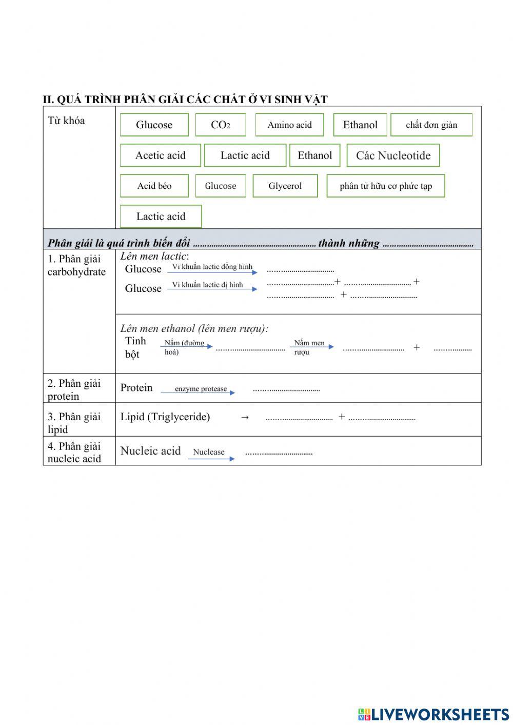 Qt tong hop va phan giai o vsv