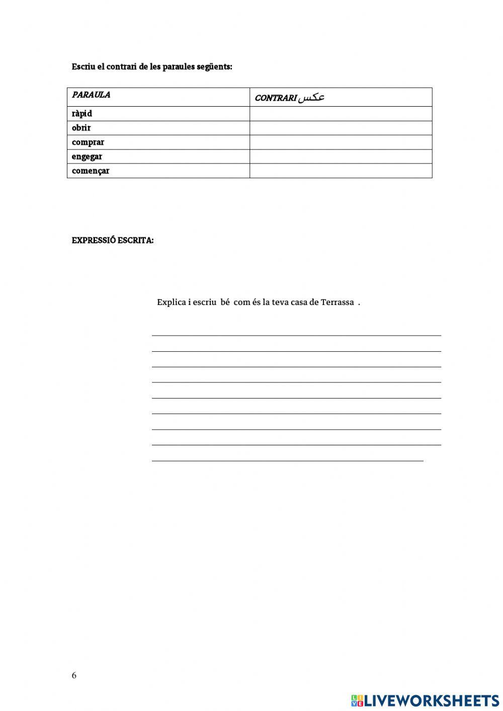 -Carrer Regina -. Dictat i activitats