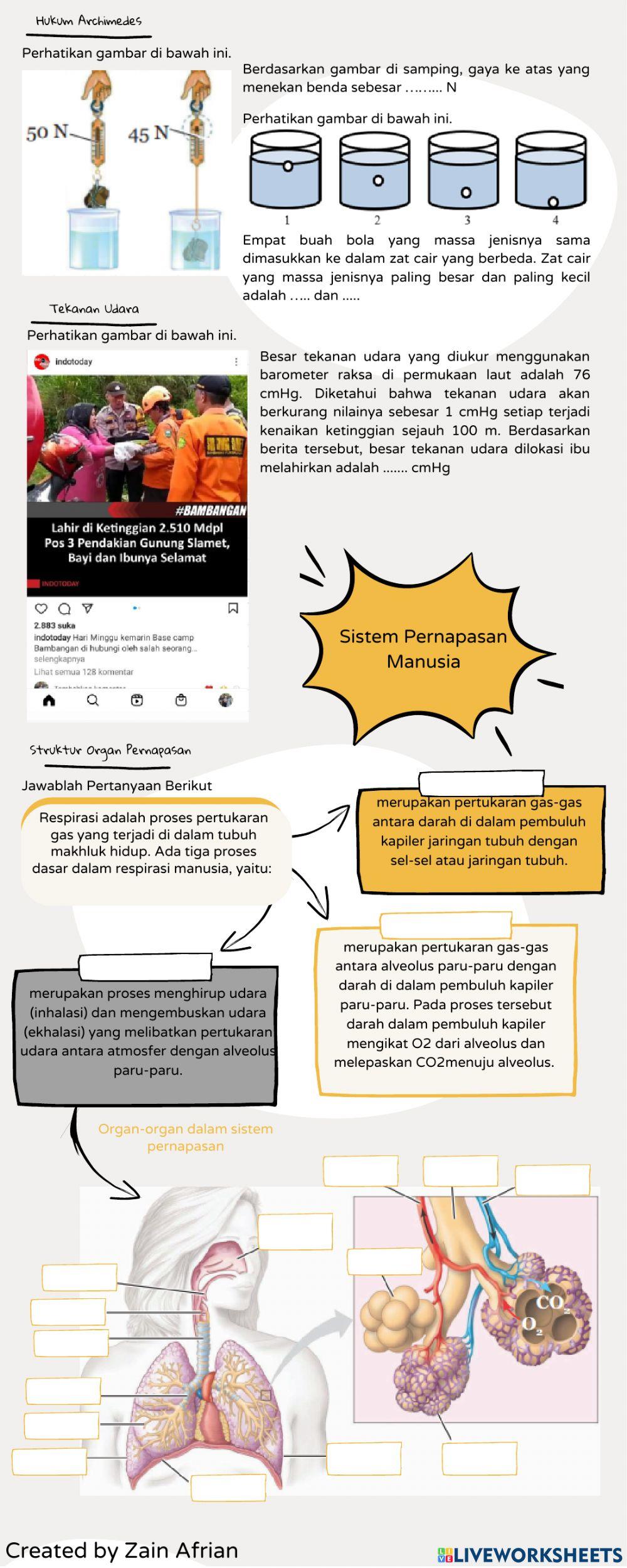 STS IPA Kelas 8 Semester 2