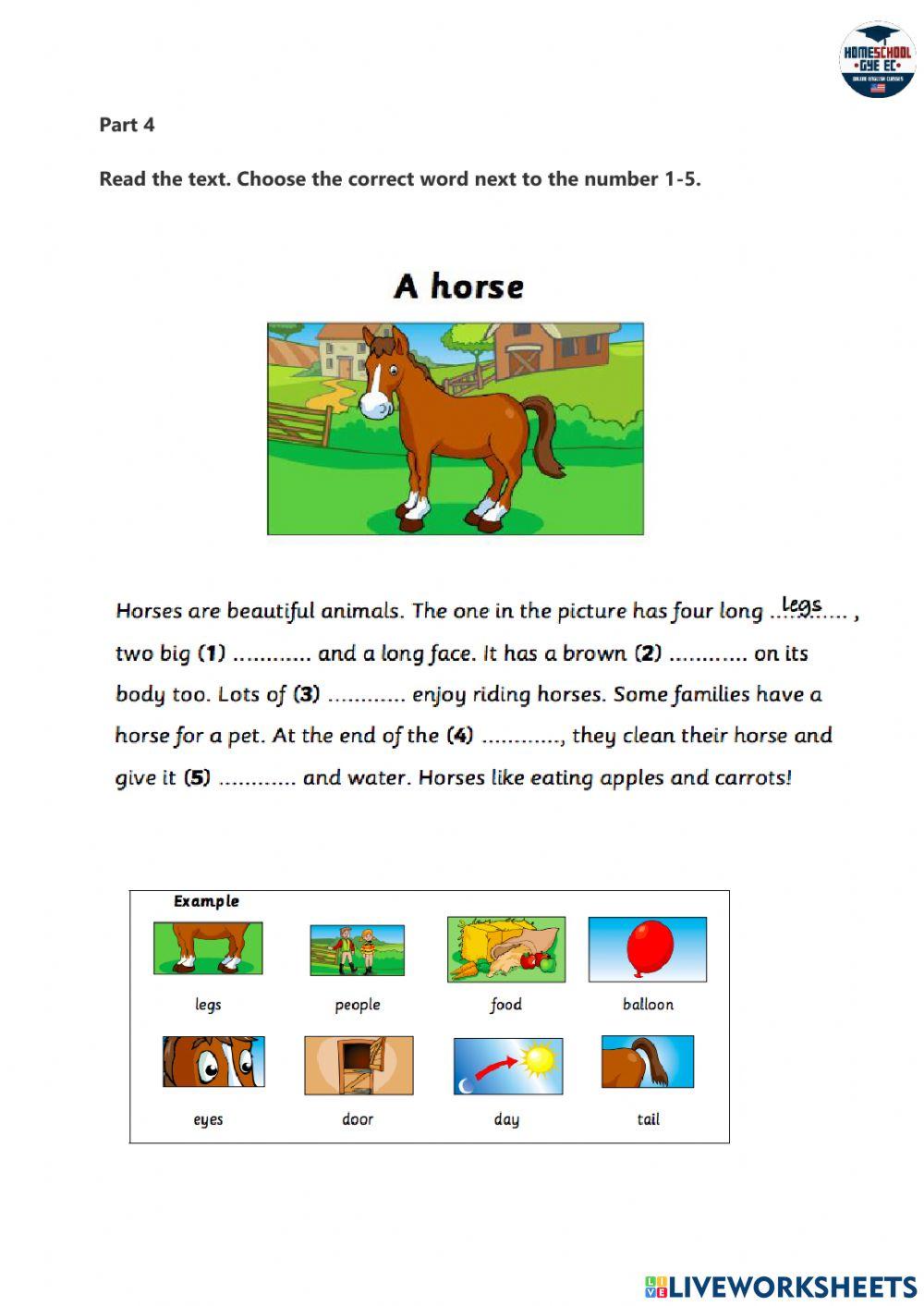 Starters1Reading Exam