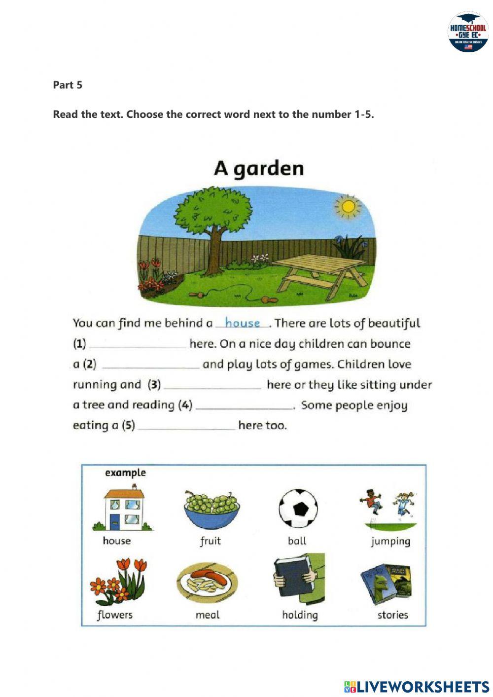 Starters1Reading Exam