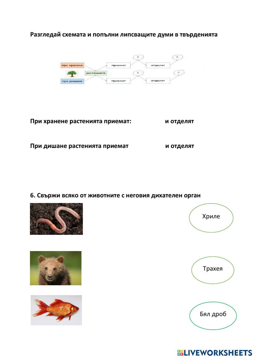 Дишане на животните и растенията