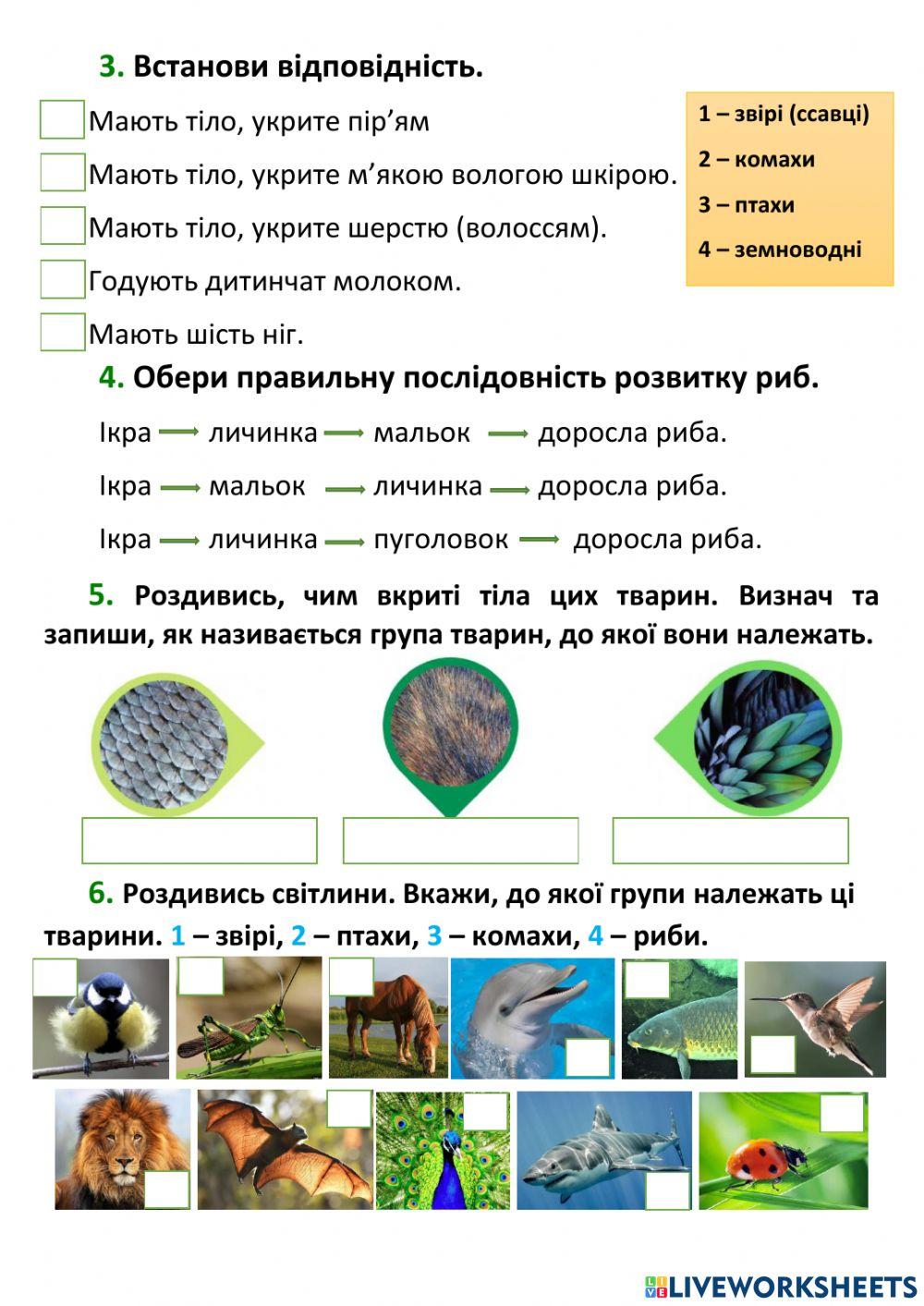 Тварини (узагальнення)