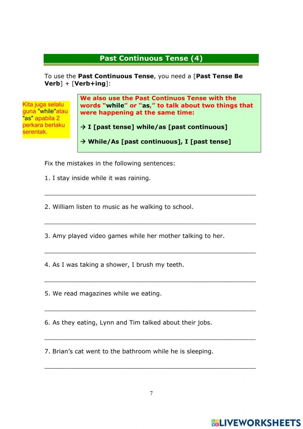 Past Continuous Tense(2)