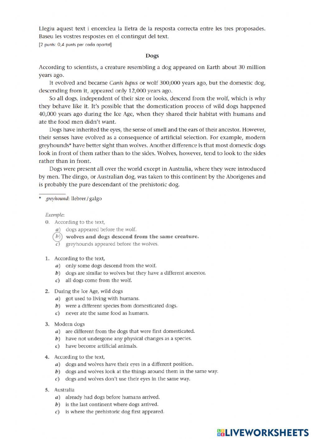 Práctica Proves d'accés a CFGM