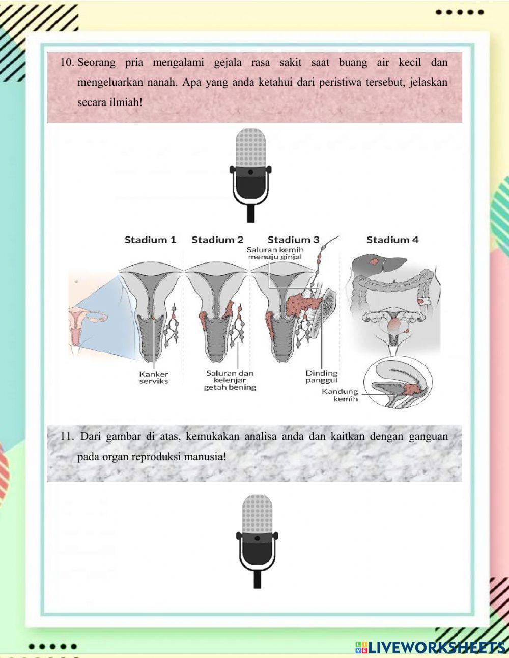LKPD Sietem Reproduksi Manusia XI