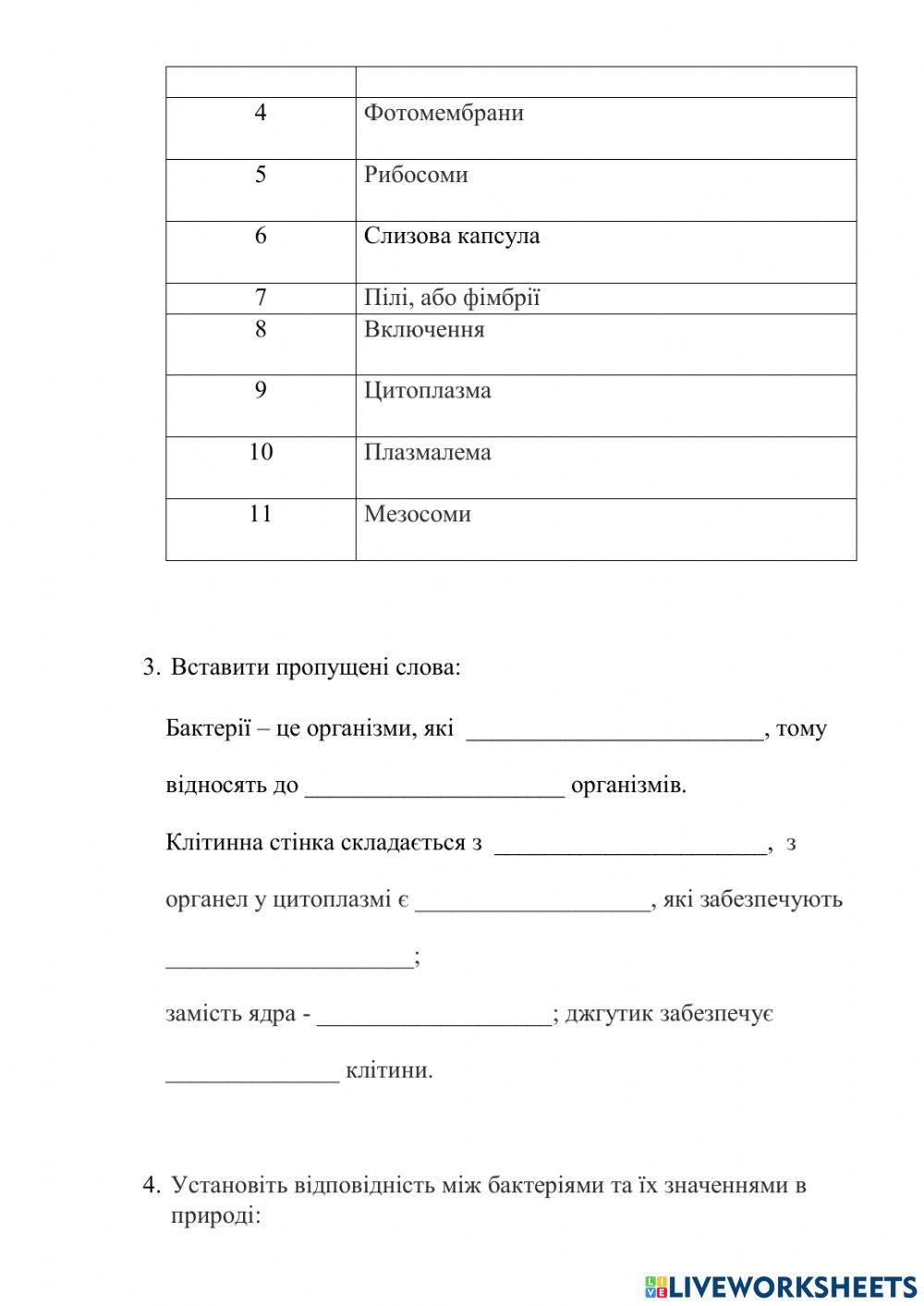 Бактерії. Археї