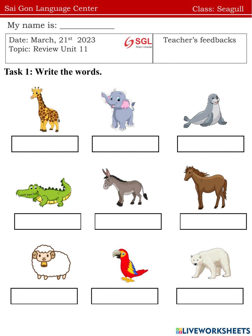 Seagull.FF1.reviewU11(21.03)