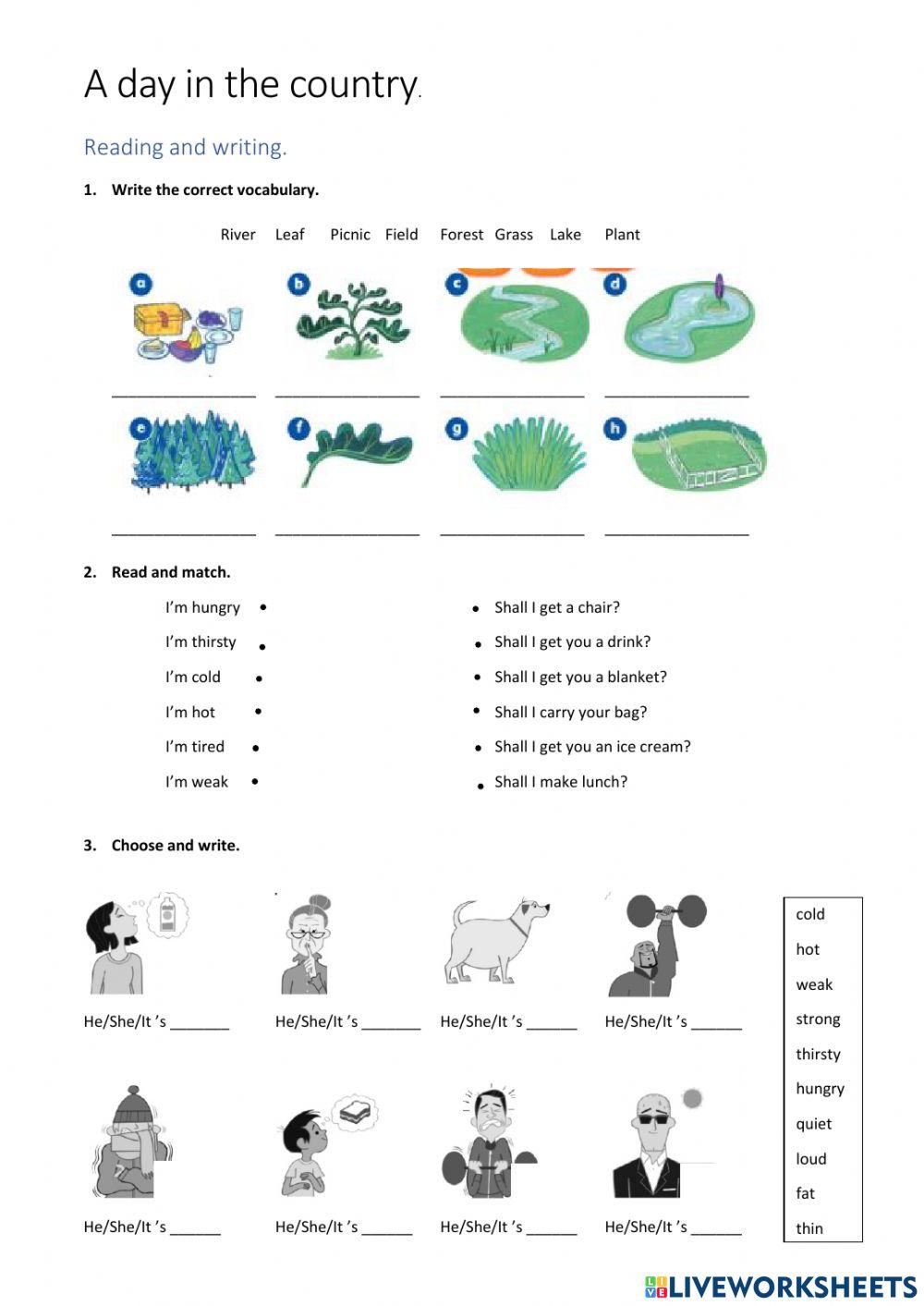 A day in the country RW