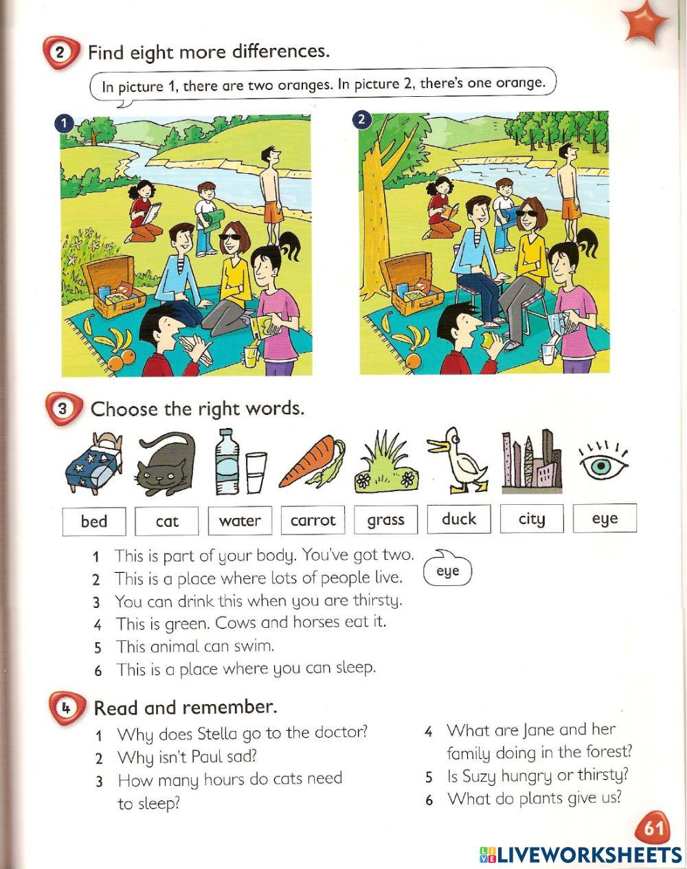 Kid's Box 3 Units 5 - 6 Review