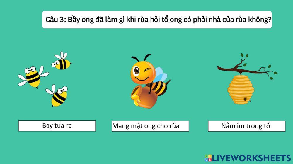 Truyện: Rùa con tìm nhà