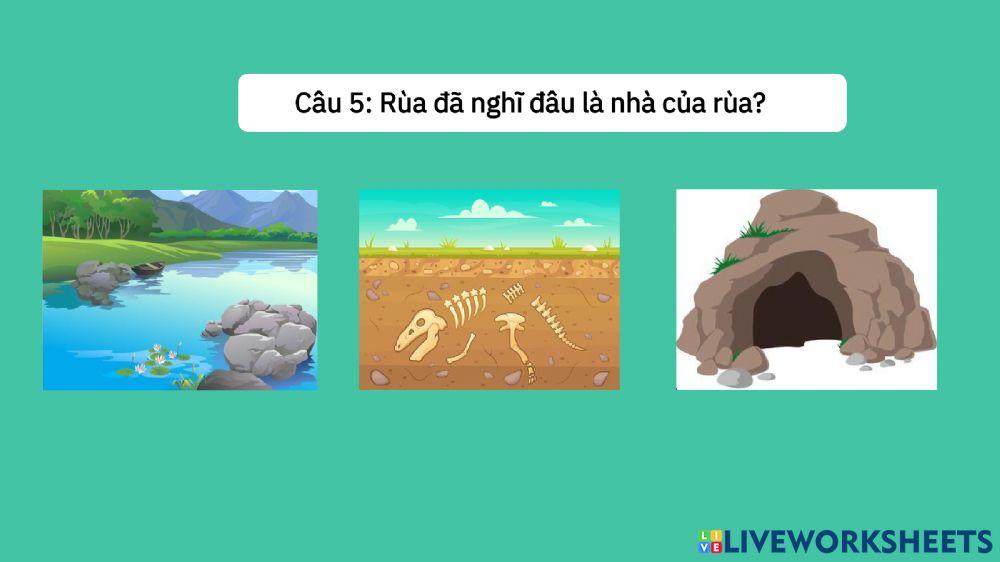 Truyện: Rùa con tìm nhà