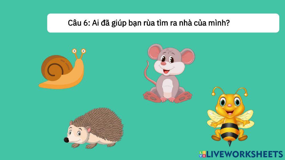 Truyện: Rùa con tìm nhà