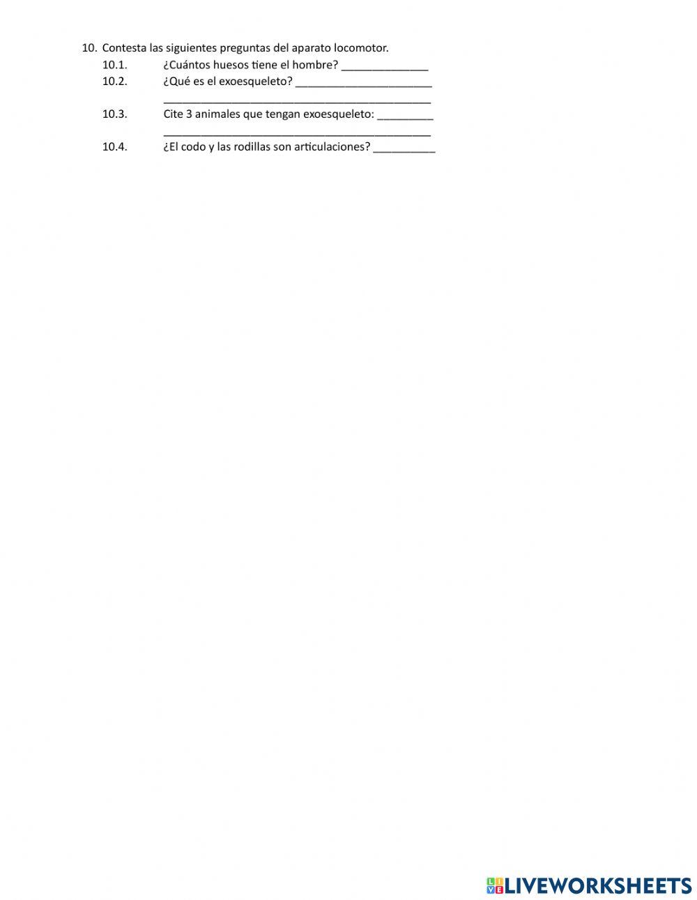 Evaluación 8vos CCnn