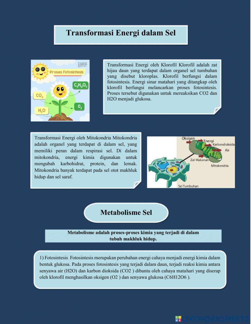 LKPD IPA - ENERGI DALAM SISTEM KEHIDUPAN KELAS 7
