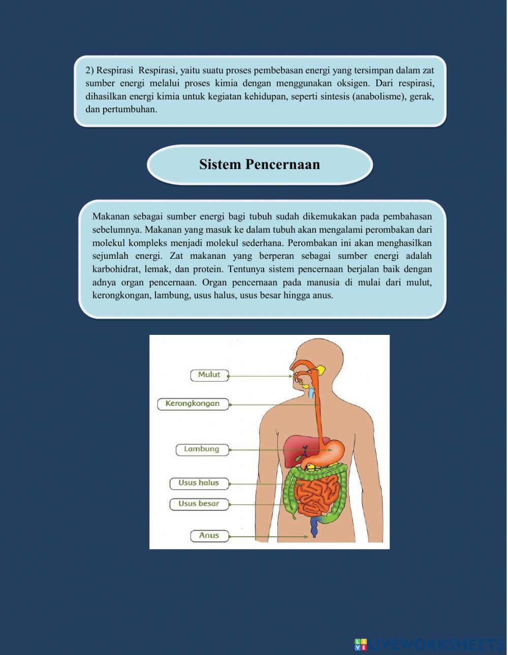LKPD IPA - ENERGI DALAM SISTEM KEHIDUPAN KELAS 7