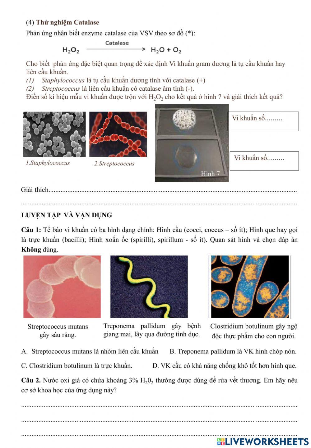Phương pháp nghiên cứu vi sinh vật