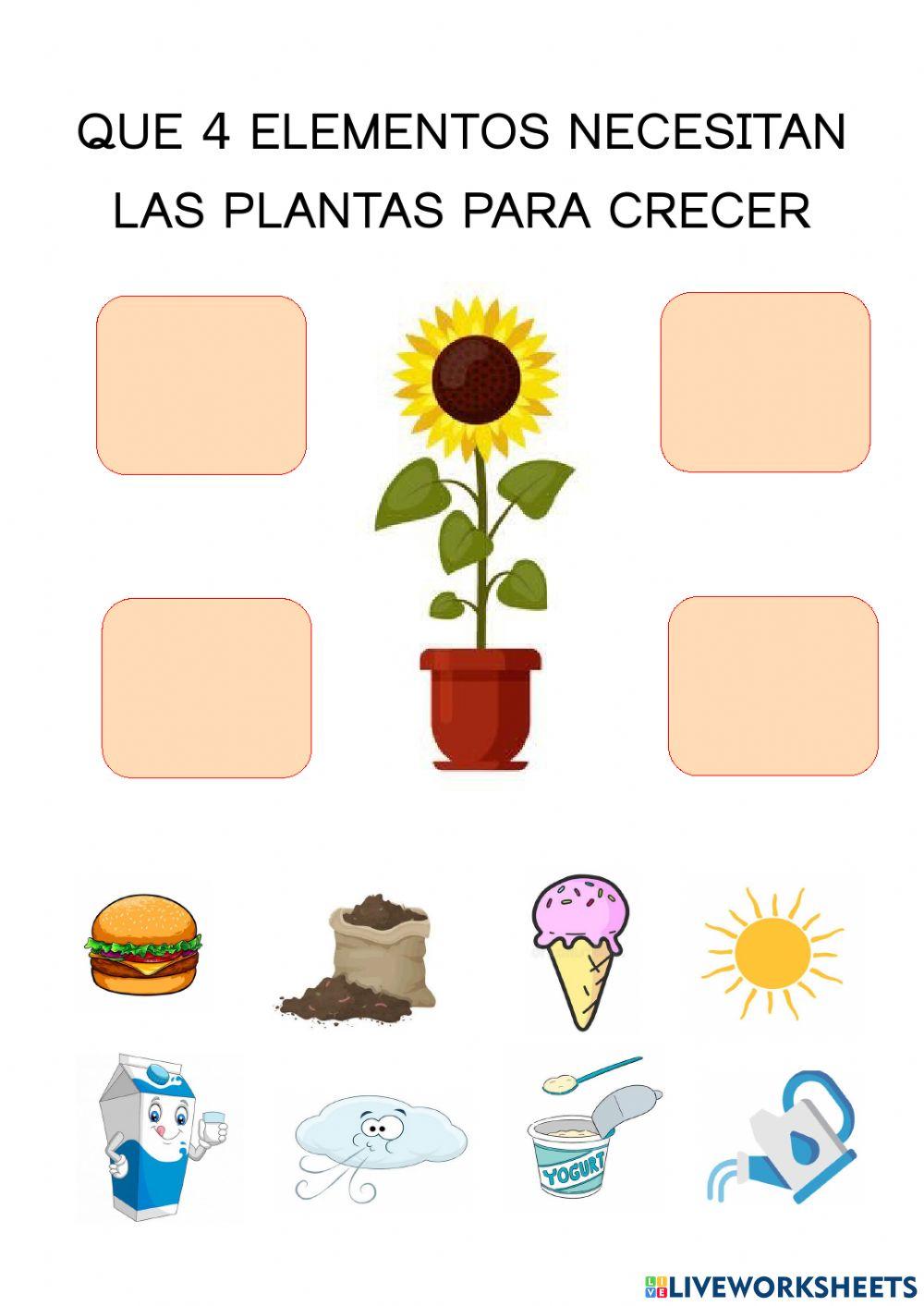Las plantas