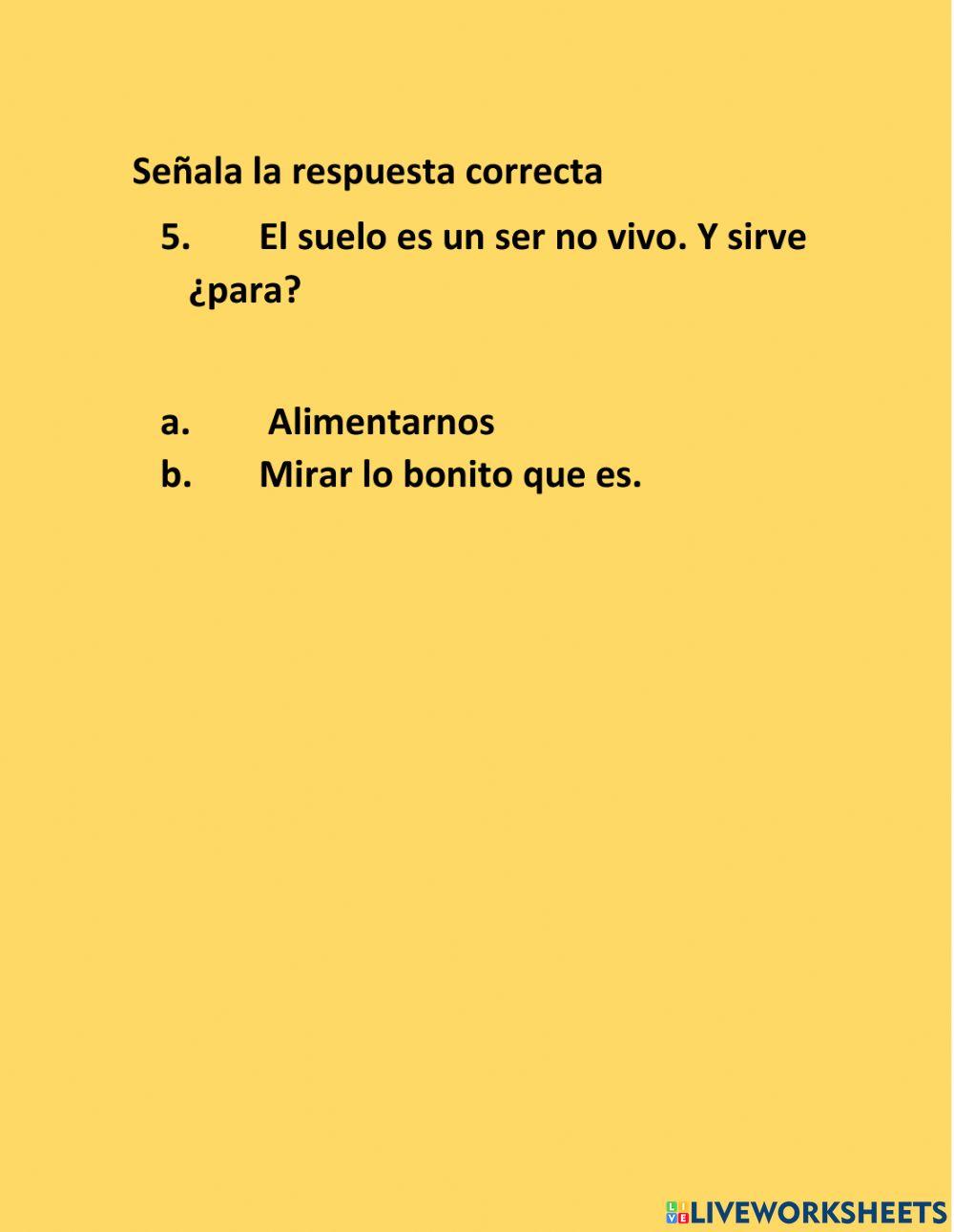 Ecosistema Terrestre