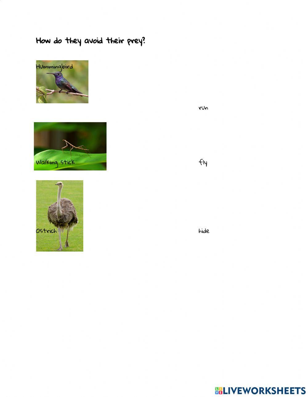 Defense mechanisms worksheet Live Worksheets