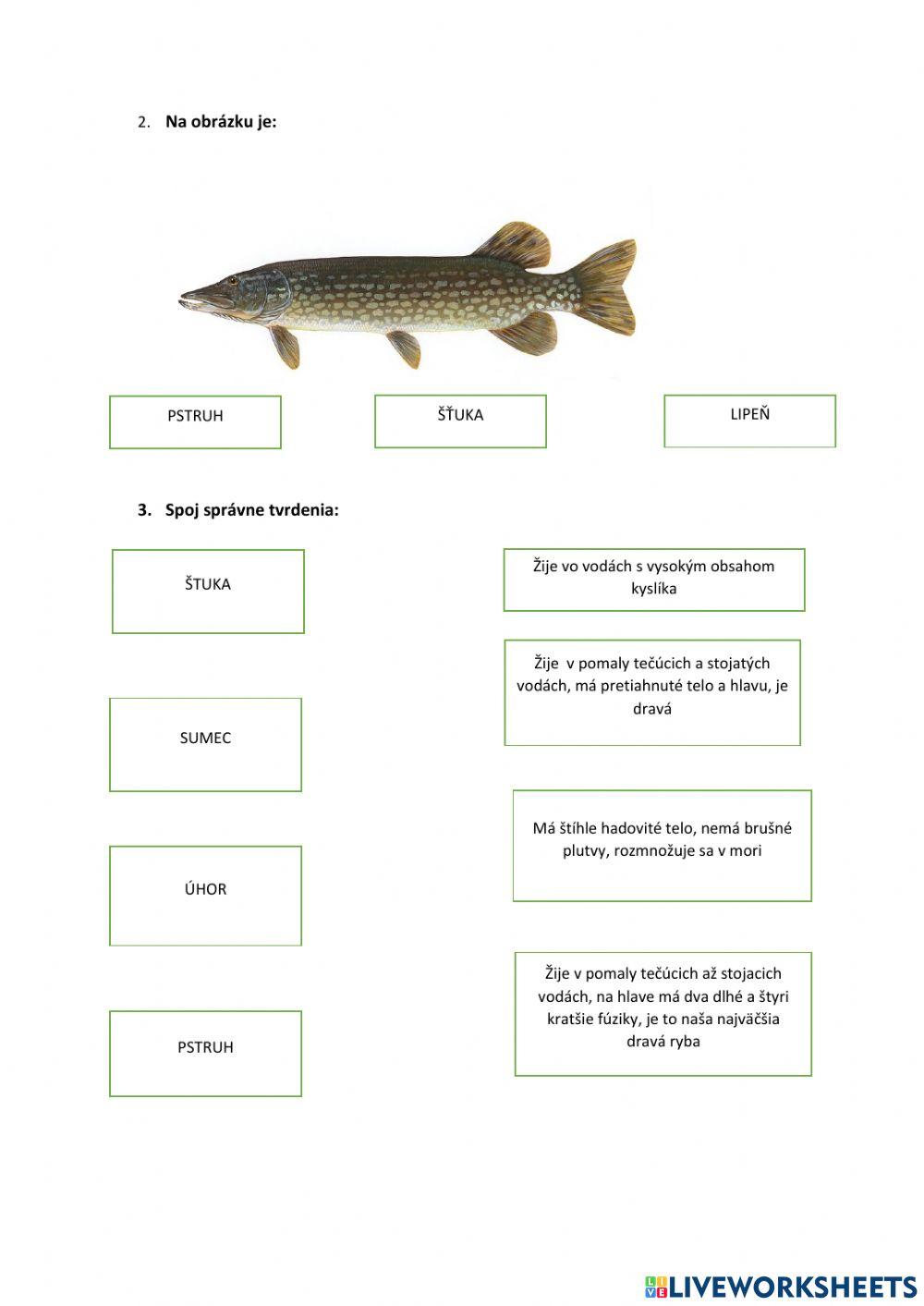 Biologia 5.ročník ryby, plazy