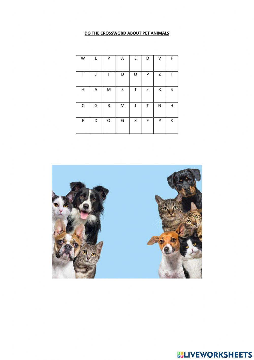 Pet crossword worksheet Live Worksheets