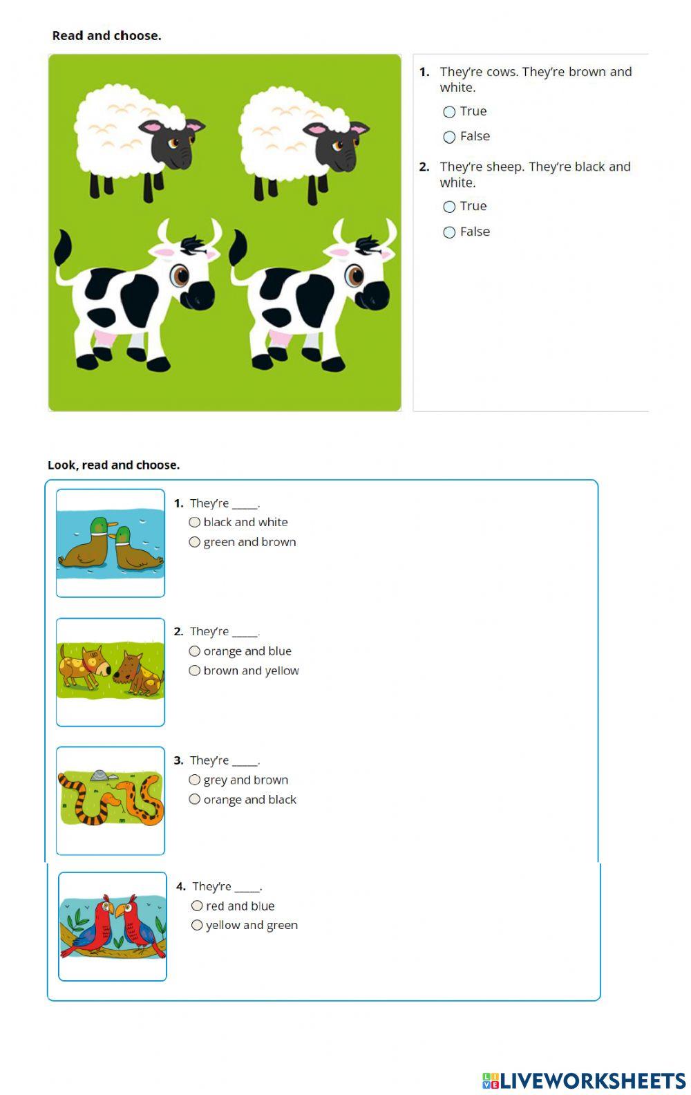 Farm animals + They're