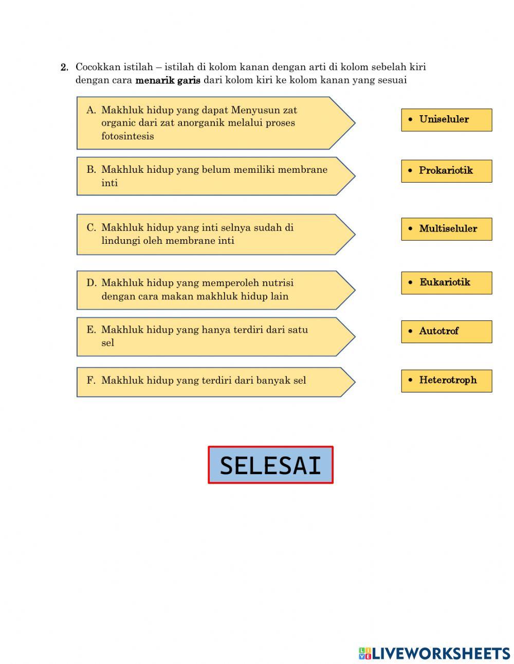 Sistem klasifikasi 5 kingdom