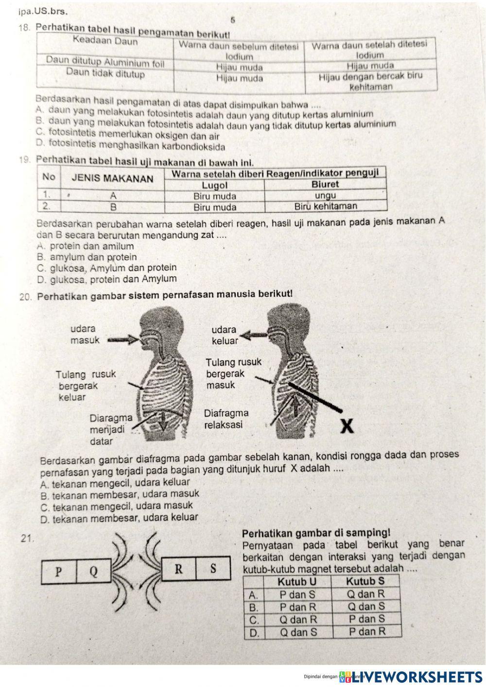 Soal us tp 2021-2022