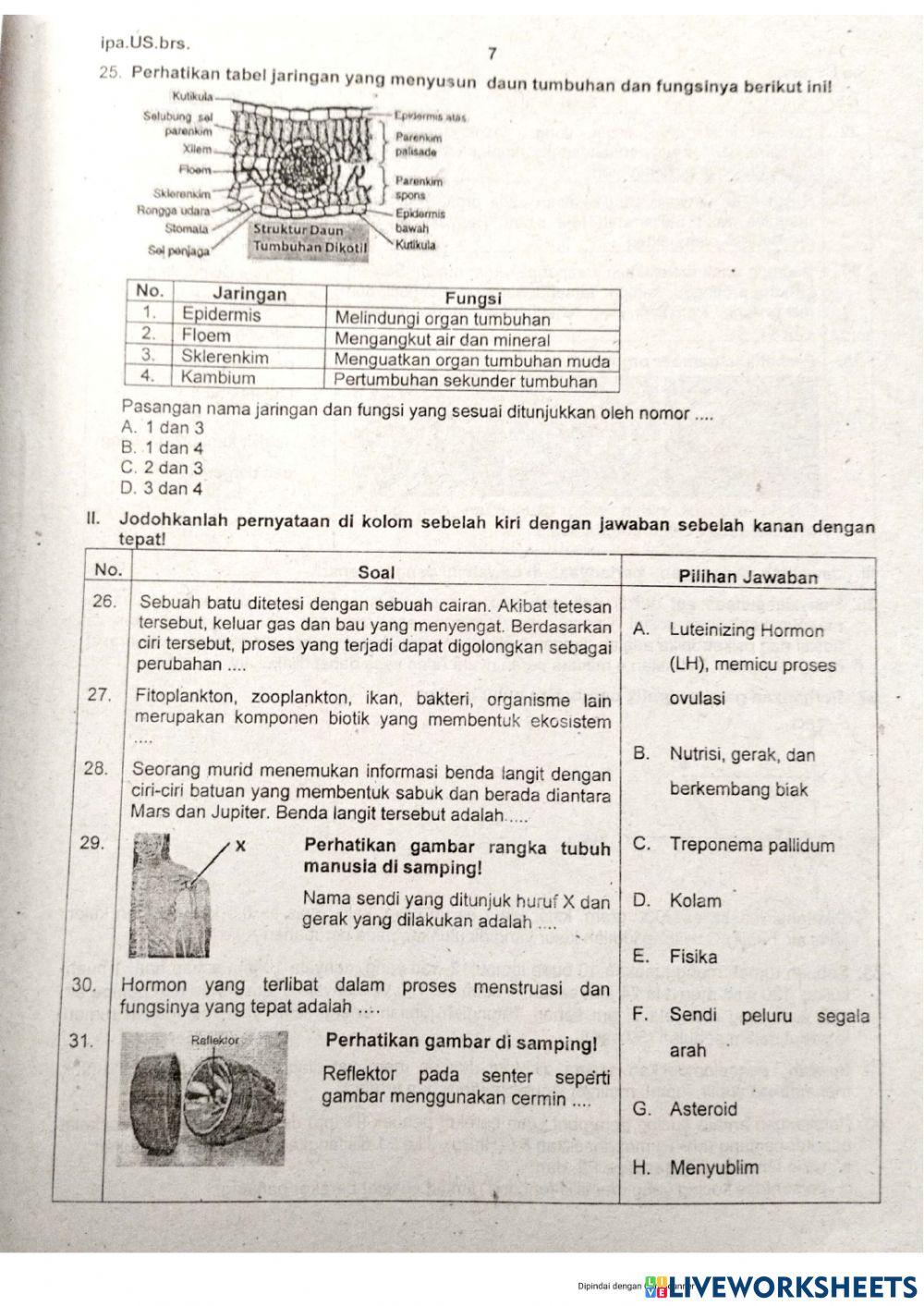 Soal us tp 2021-2022
